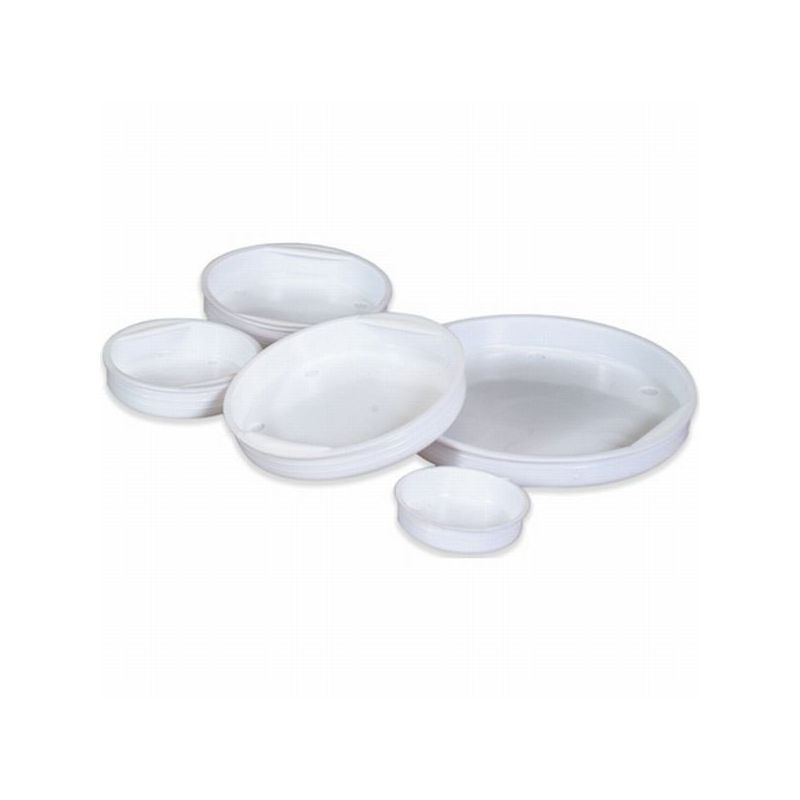 MTCAP25